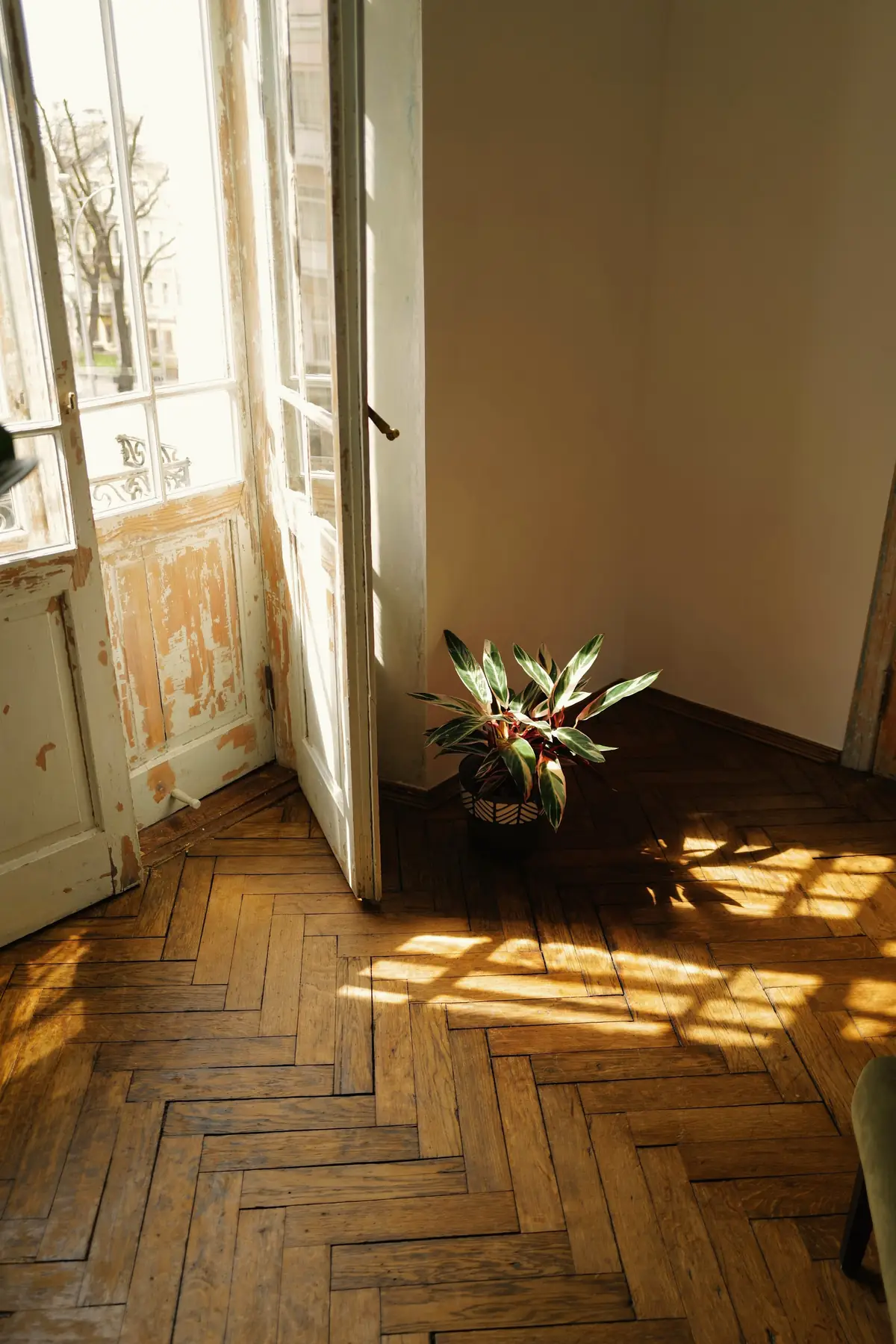Parquet à bâtons rompus frappé par la lumière d’une porte-fenêtre
